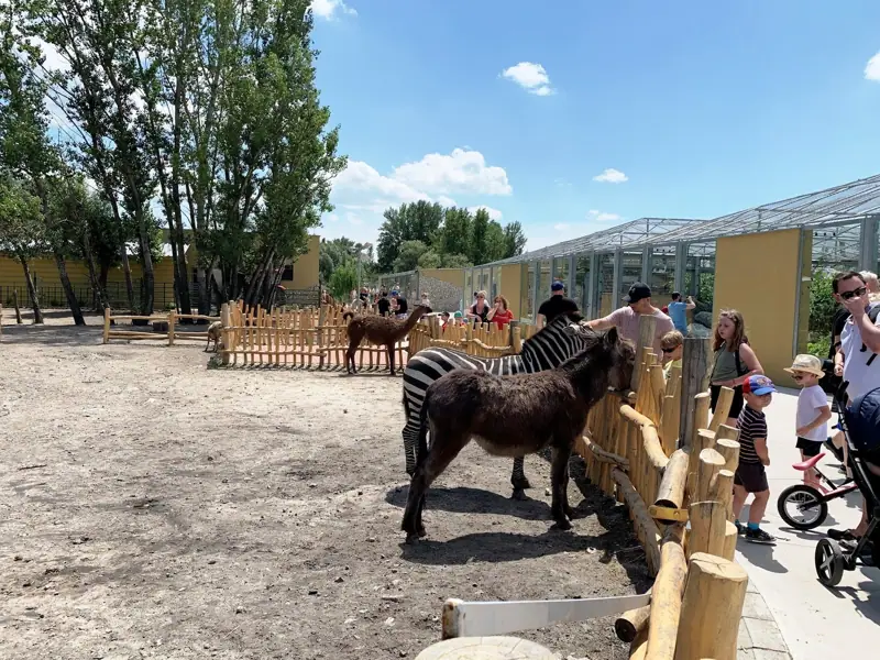 Animals at Malkia Park