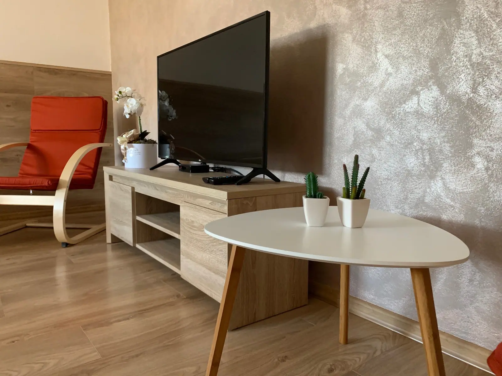 Room with a TV, armchairs and a coffee table